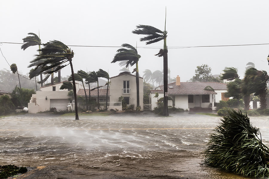 flooded-street-and-windswept-palm-trees-during-hurricane-panama-city-fl